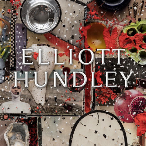 detail of an artwork by elliott hundley with their name in a bold font overlaid on top