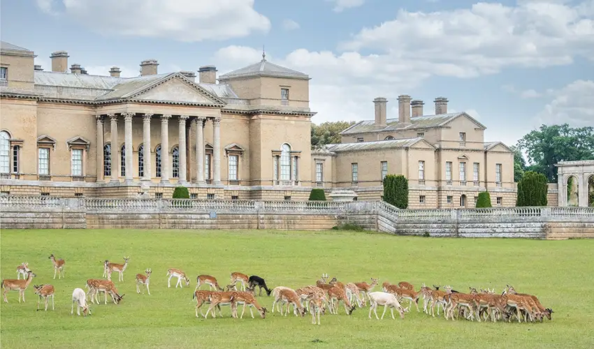 photo of Holkham Hall with deer feeding on the green grass