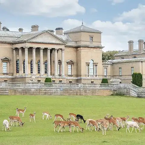 photo of holkham hall with deer eating grass in the foreground