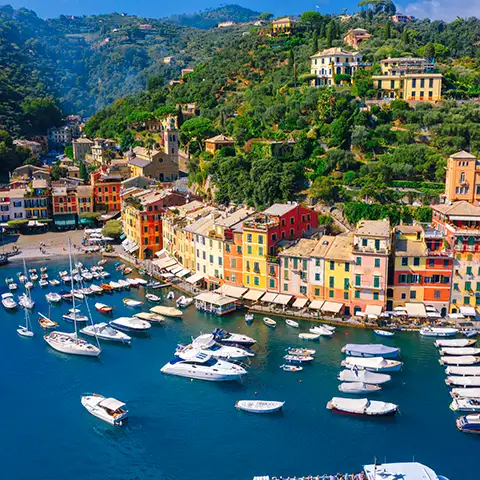 photo of harbor on sunny day with boats