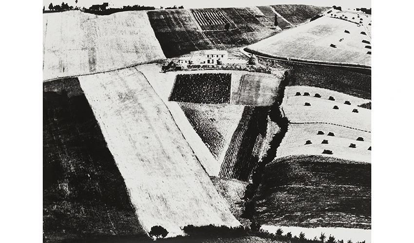 high contrast black and white image of fields