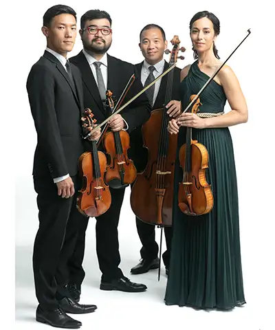 photo of the string quartet and their instruments dressed up for a performance