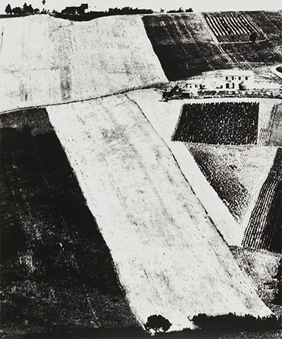 high contrast black and white image of fields