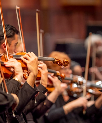 photo of orchestra string players in a row