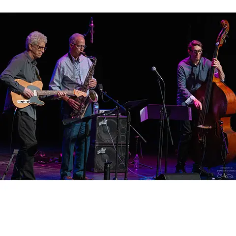jazz trio of men including guitarist, sax player, and stand up bassist on stage playing