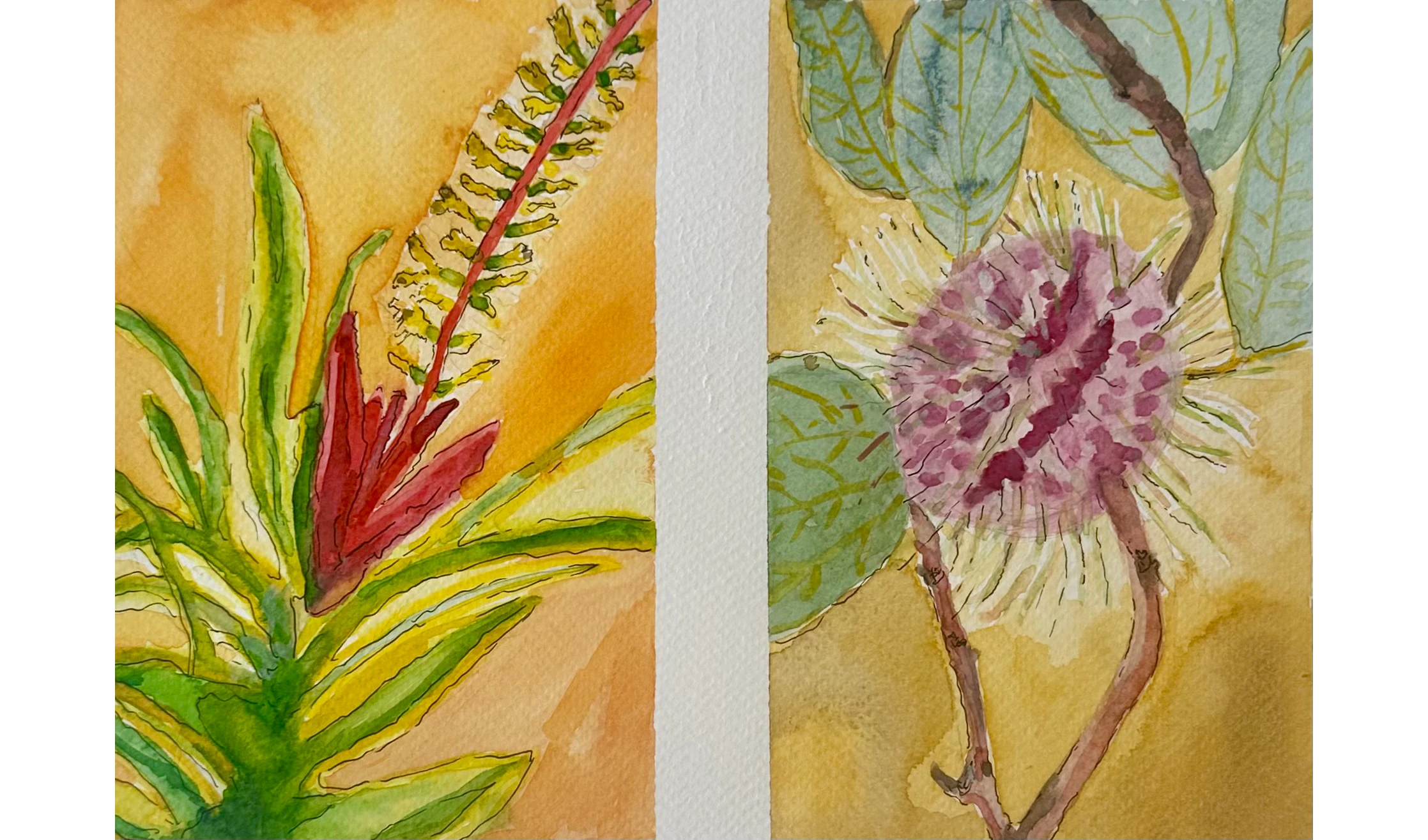 colored diptych of plants