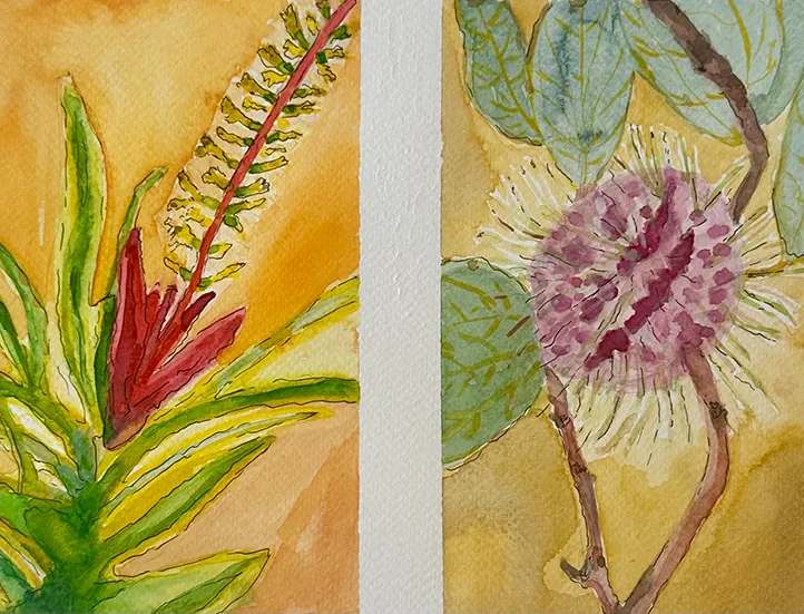 colored illustration of a plant