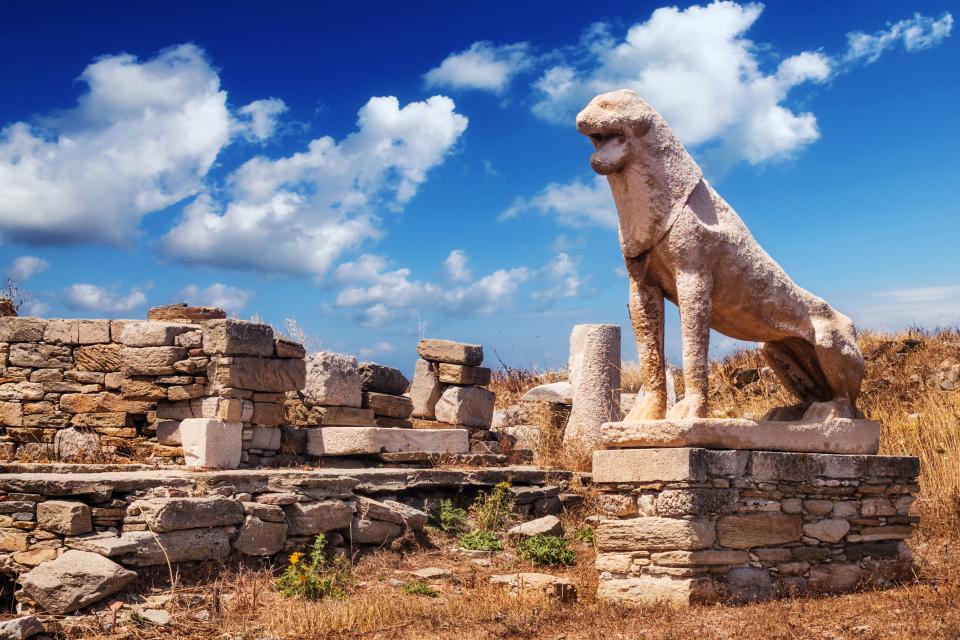 Delos -  xxl 82336704