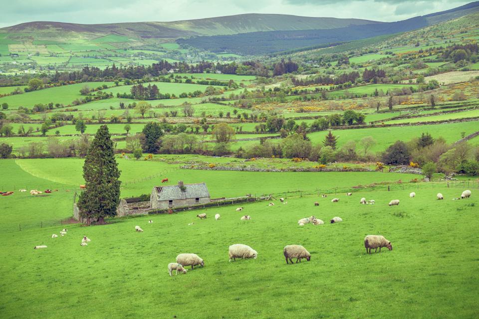 Ireland