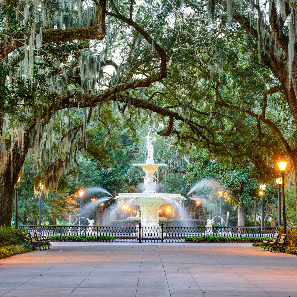 savannah