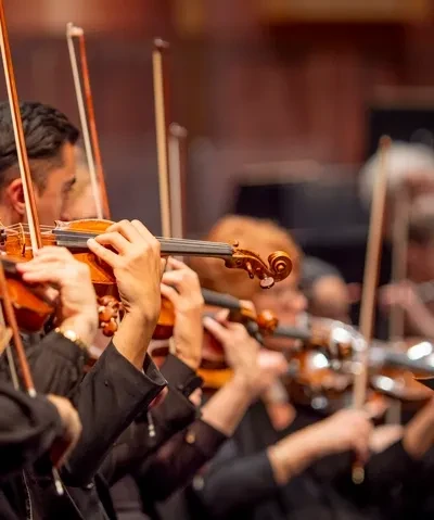 photo of orchestra string players in a row