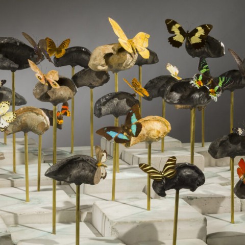 Photo of Dario Robleto's American Seabed artwork, featuring unconventional materials like fossilized whale ear bones and butterflies, whose antennae are crafted from stretched audiotape recordings of Bob Dylan’s “Desolation Row"