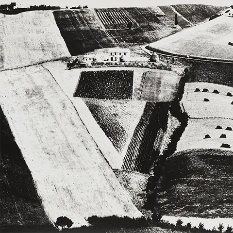 high contrast black and white image of fields