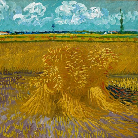 000377.1 Van Gogh Wheat Fields Honolulu960