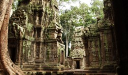 Ta Prohm, Cambodia