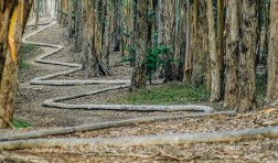 Andy Goldsworthy Presidio Installation
