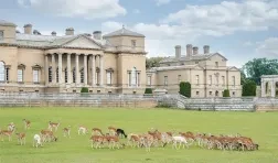 photo of Holkham Hall with deer feeding on the green grass