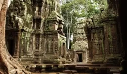 Ta Prohm Cambodia