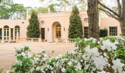 Rienzi, MFA, Houston