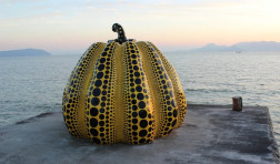pumpkin-1394865 1920