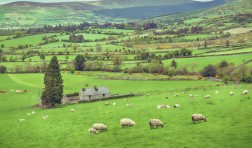Ireland