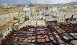 Photo Tannery in Fez