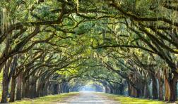 Wormsloe