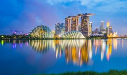 iStock-491056644